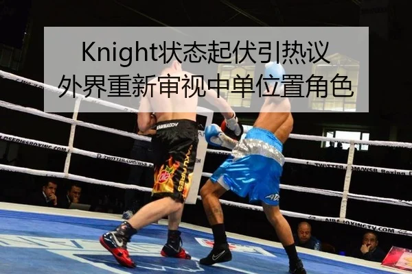 Knight状态起伏引热议 外界重新审视中单位置角色